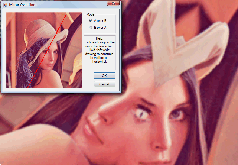 PaintNet Mirror Over Line.png
