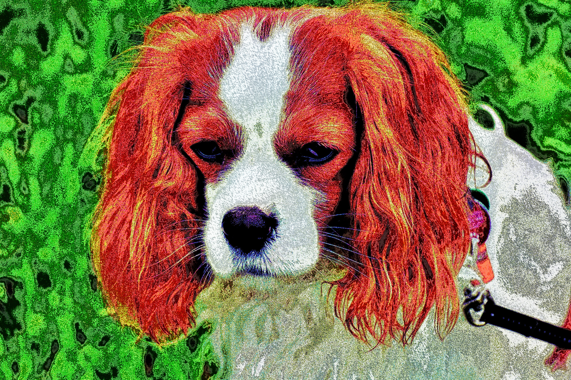 dog-1606600_960_720 (pointillistic-strong).jpg