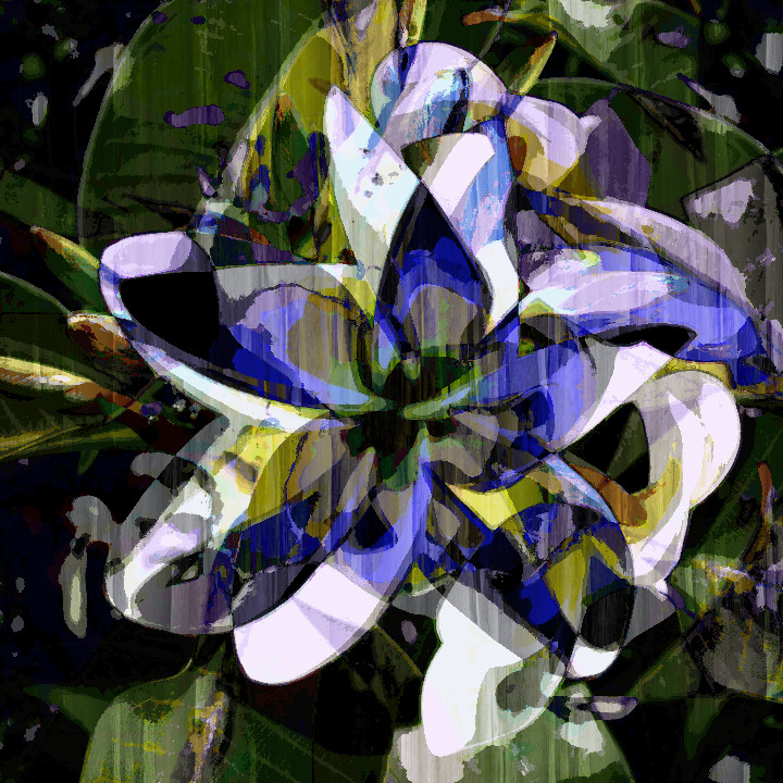 plumeria-209904_960_720-crop, just playing.jpg