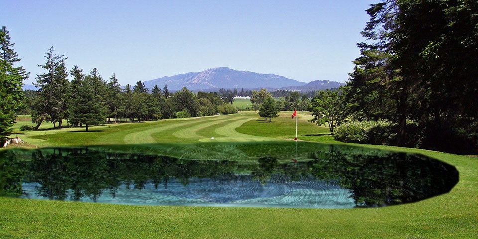 meadow1-ReflectionOnPounds.jpg
