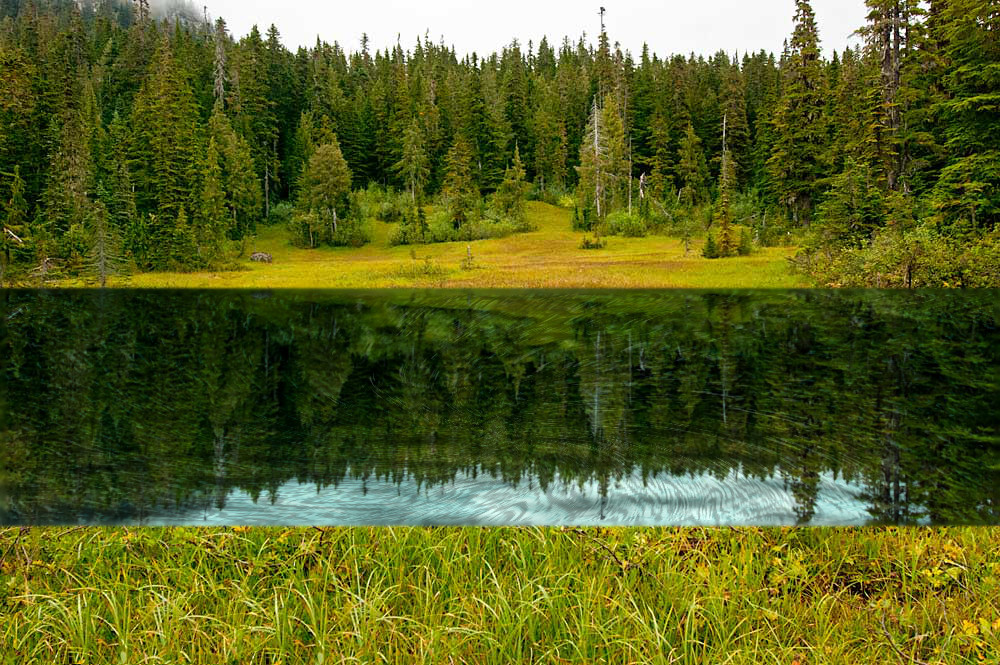 murray_meadows2-ReflectionOnPonds.jpg