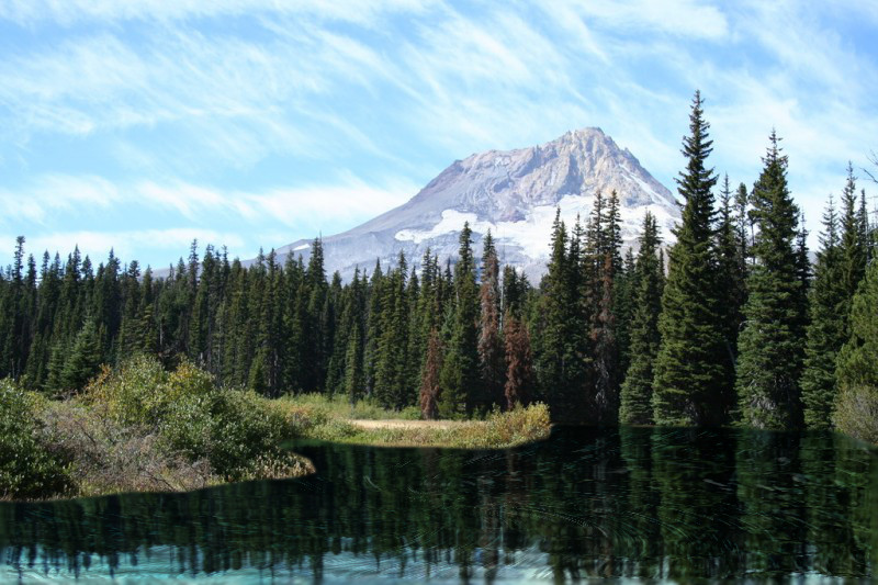 meadows_RefelectionOnPonds.jpg