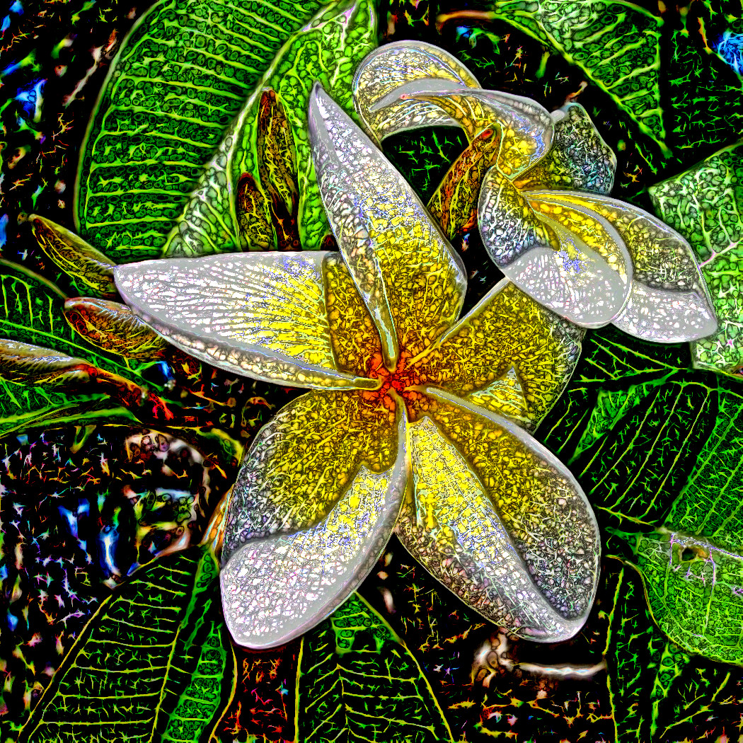Lyle Style Details on plumeria-209904_960_720-crop.jpg