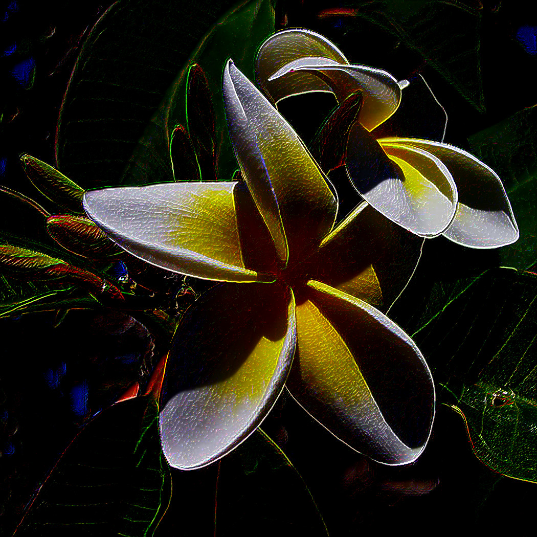 Rod Style Details on plumeria-209904_960_720-crop.jpg