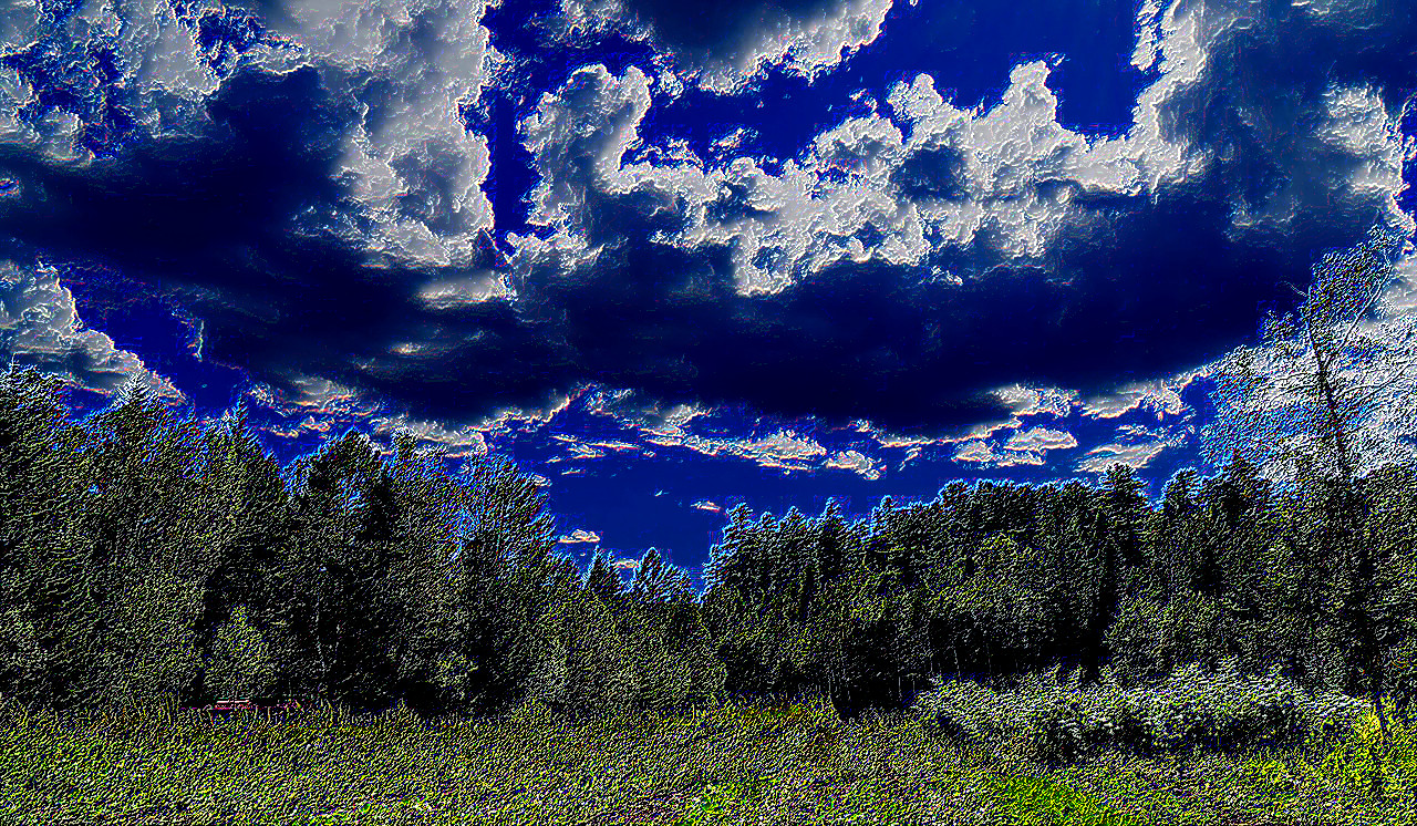 trees-1667788_1280-RodStyleDetails-DN.jpg