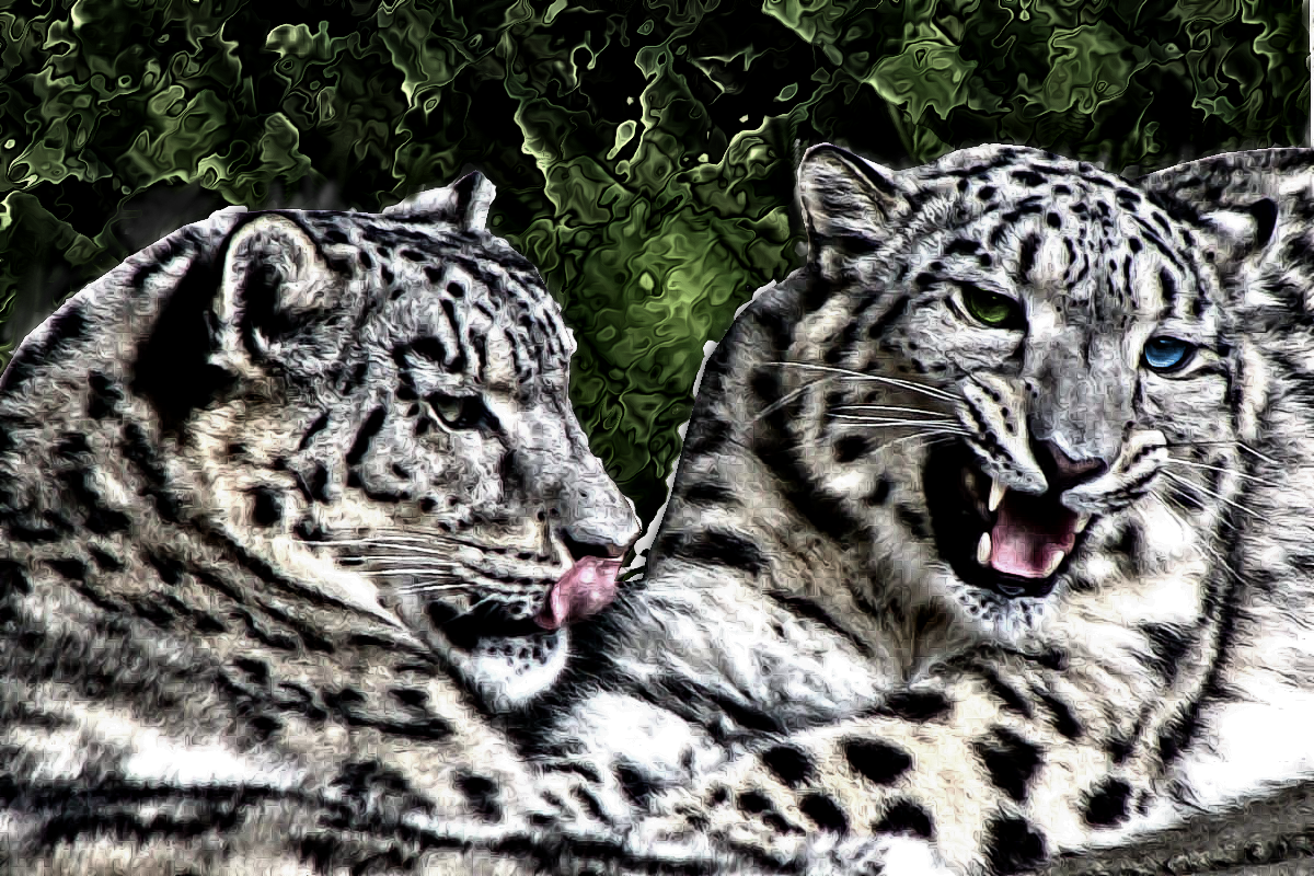 53_leopard-k52f.png