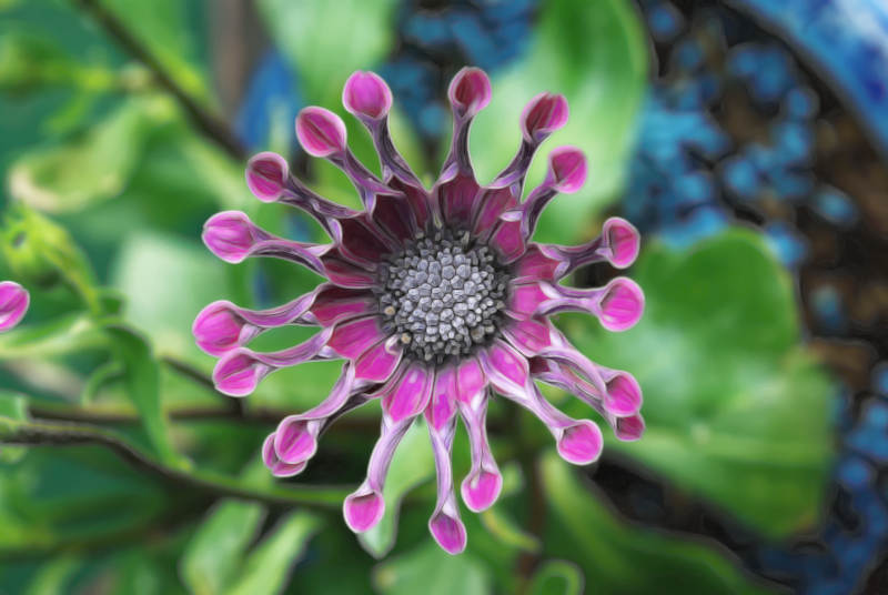 flowerb.png