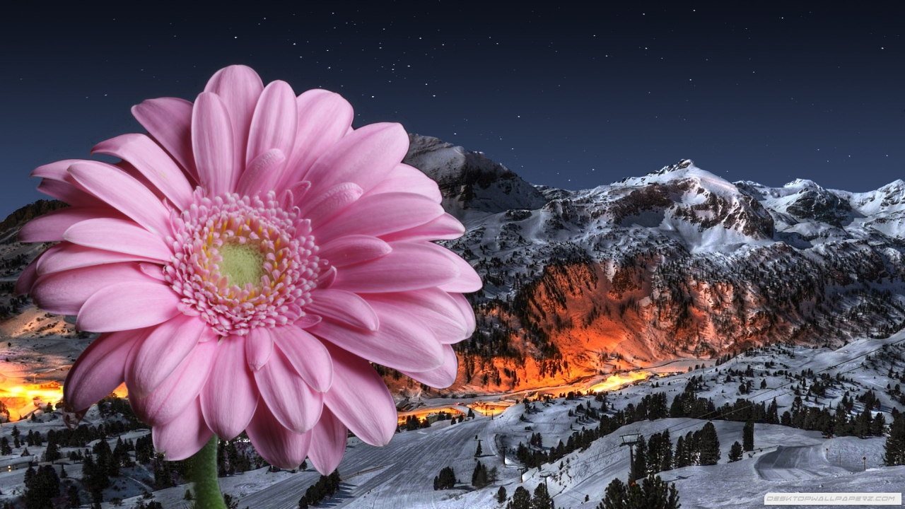 Ice-Mountains-Landscapes-with-flower-FG.jpg