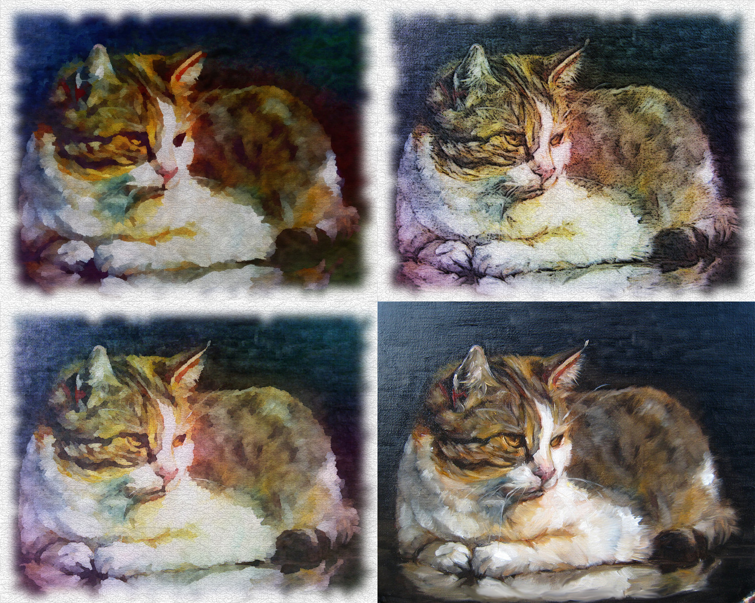 Cat-set.jpg