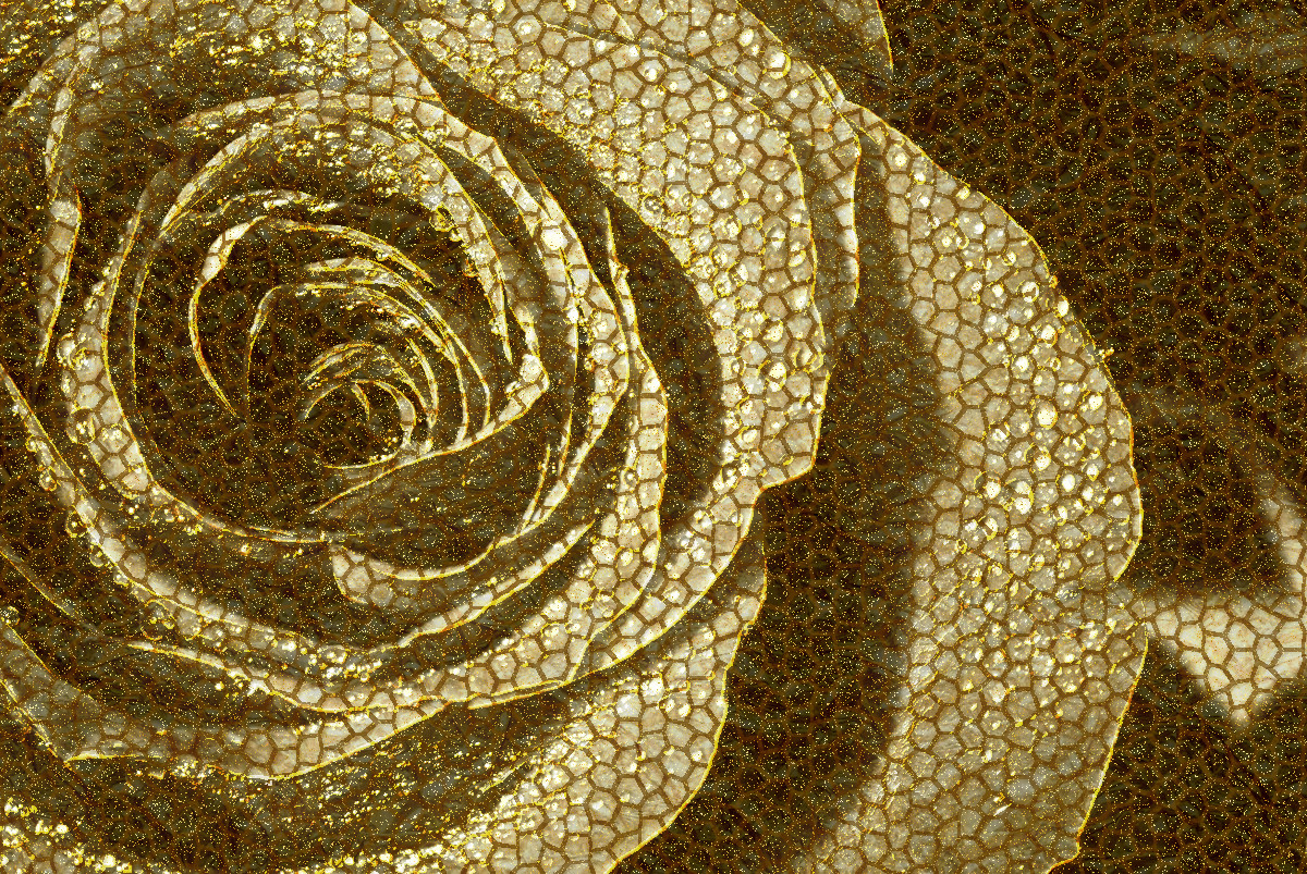 gallery_4996e35c2f3b7_DSC8792_as-a-golden-mosaic.jpg