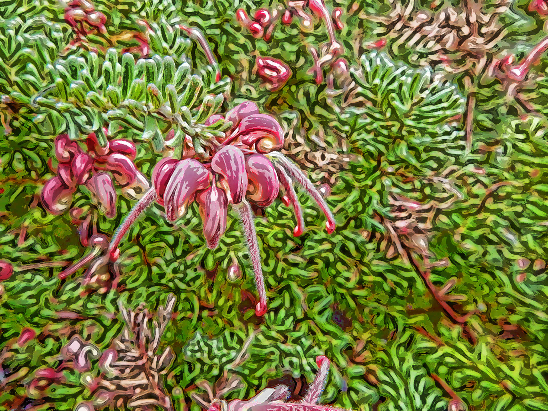 plant-1582866_1920Flamboyance4_mode1.jpg