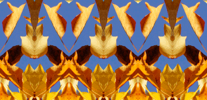 138x200x3gif.gif