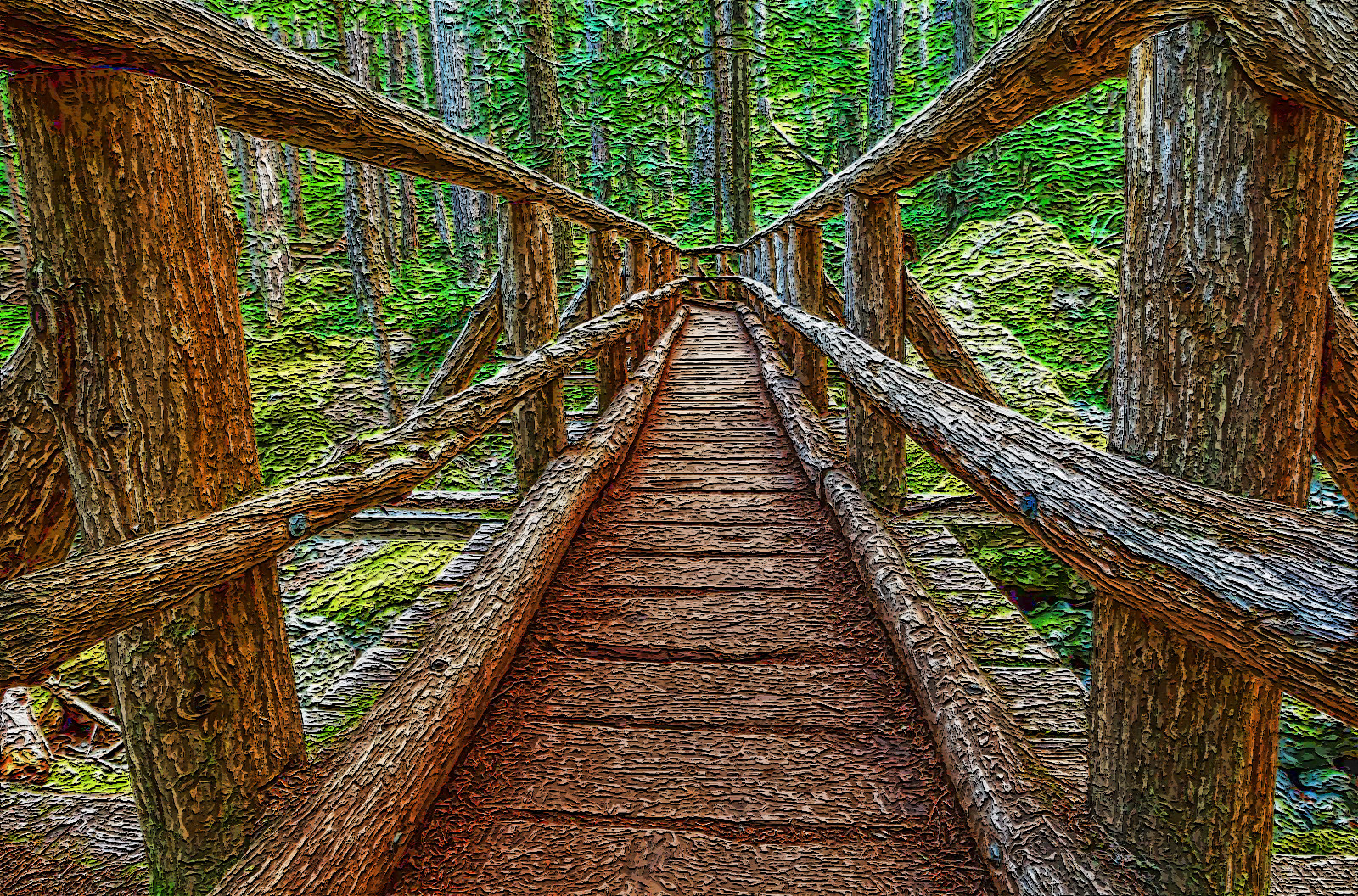 boardwalk_in_forest-1485215_Brian_Flamboyance&Edgey.jpg