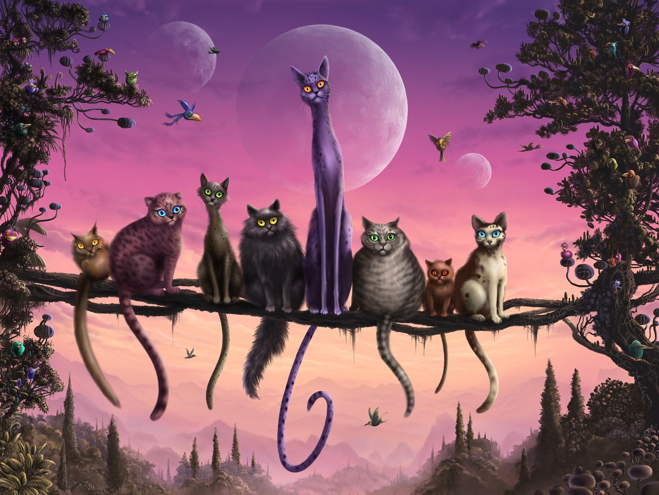 Katzenjammer 1000.jpg