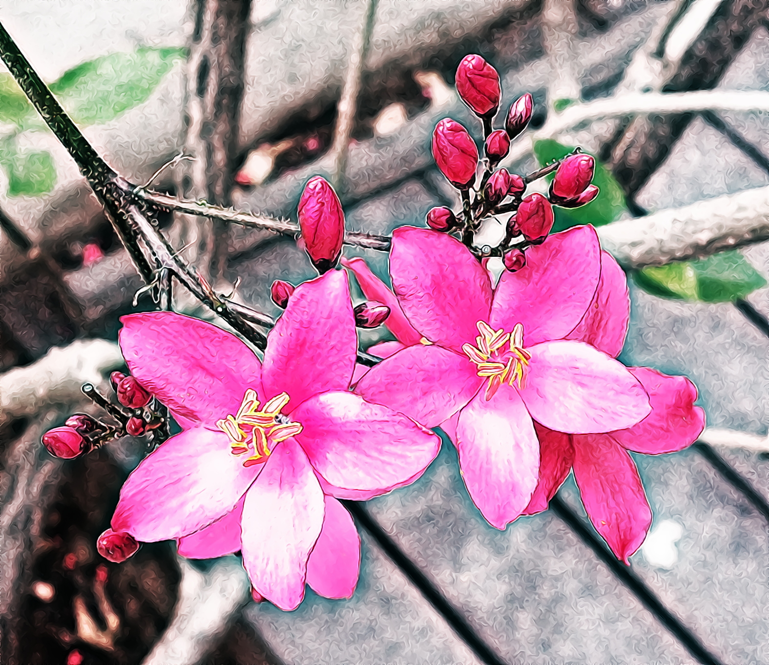 20140506_092756_Crop 02_Novella filter.jpg