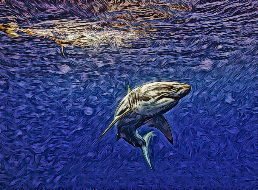 Novella 1a.Shark.jpg
