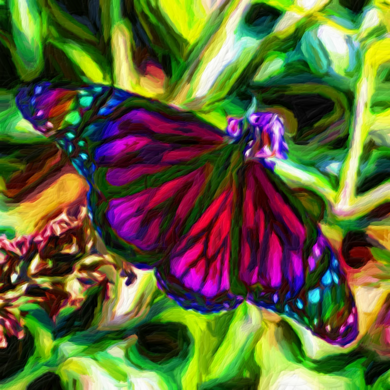 Brushify_Flamboyant_Butterfly.png