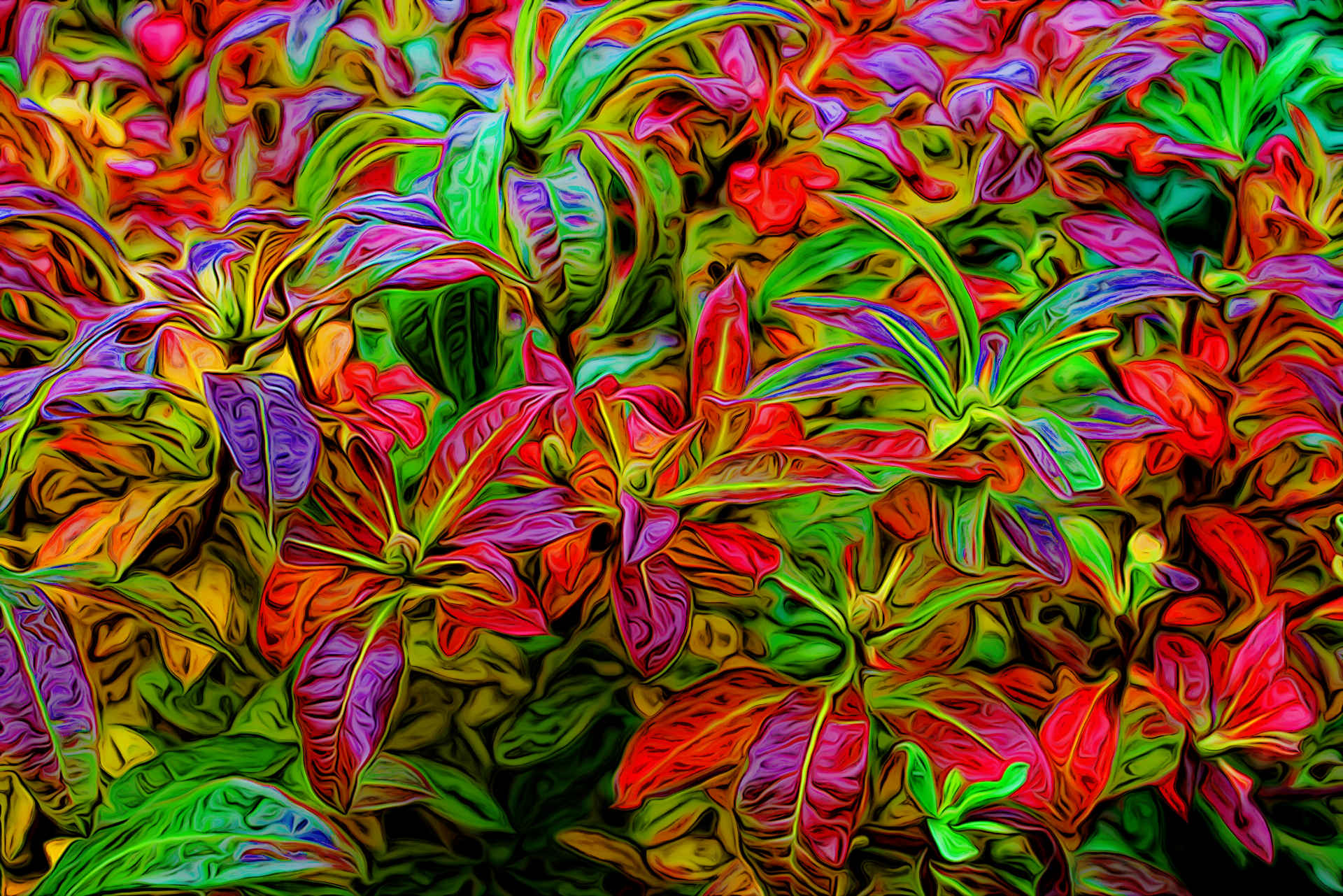autumn-1816994_1920_BA_Exaggeration_v2a.jpg