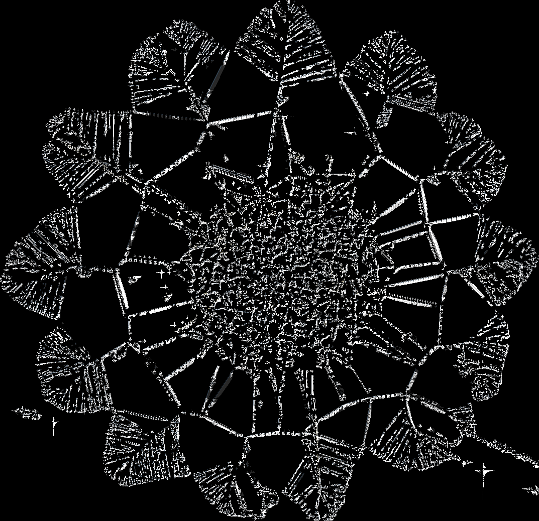 Tithonia_ice.png