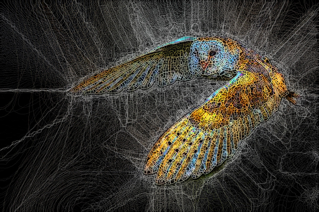 SpiderPaint_!st_owl.jpg