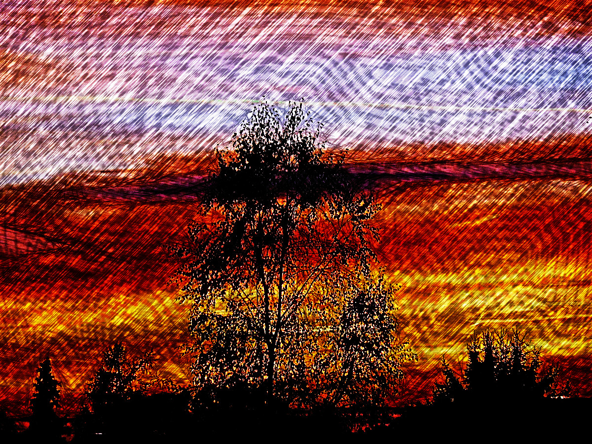 Sunset_DN_Hedcut_SE.JPG