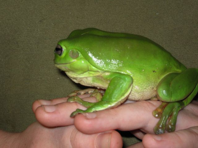 IMG_0110.jpg