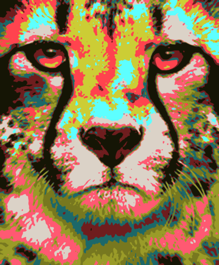 TigerWarhol.png