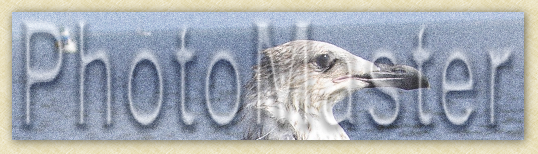 DymoPhoto.png