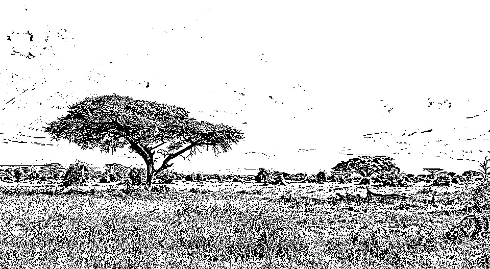 africa-944465_960_720-graphica227.jpg