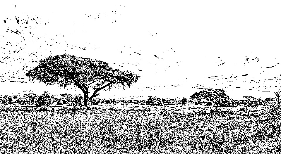 africa-944465_960_720-graphica231.jpg