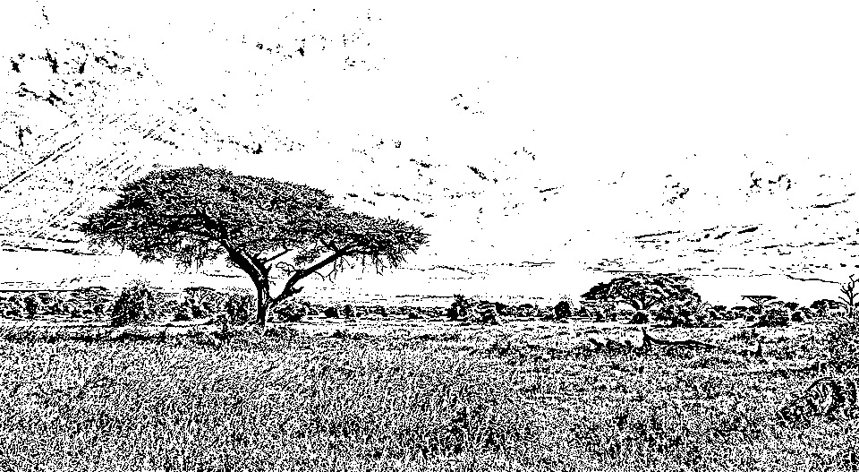 africa-944465_960_720-graphica235.jpg