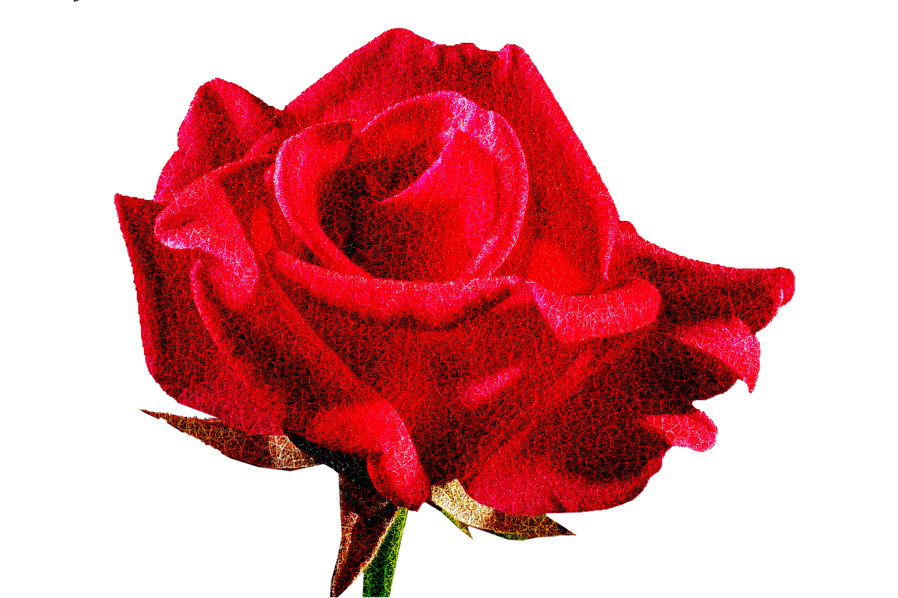 A Rose_DN_AddStructure.png
