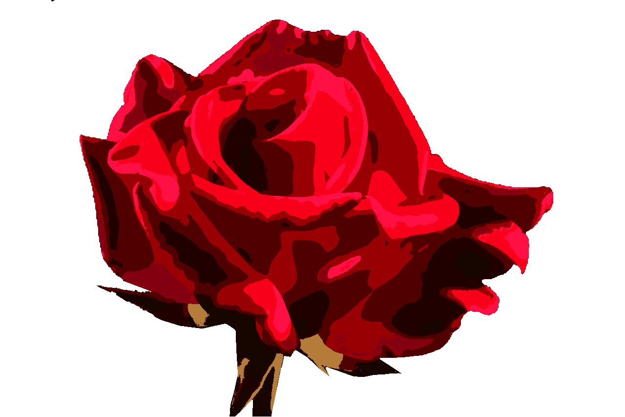 red-rose-320891_DN_ChildishPaint.PNG