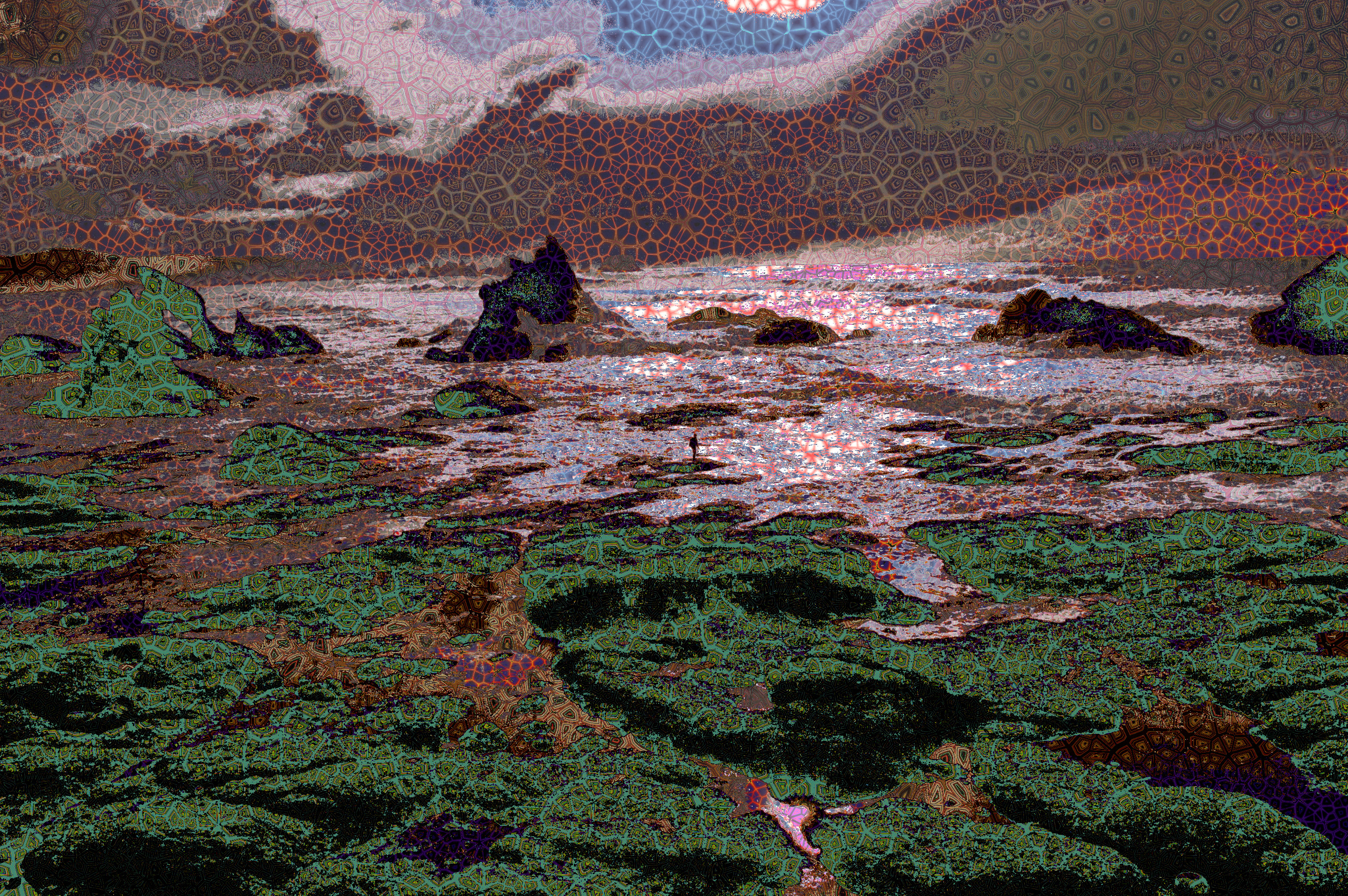 [lee-miller-48144] (imported), with random Voronoi textures (colour areas =24).jpg