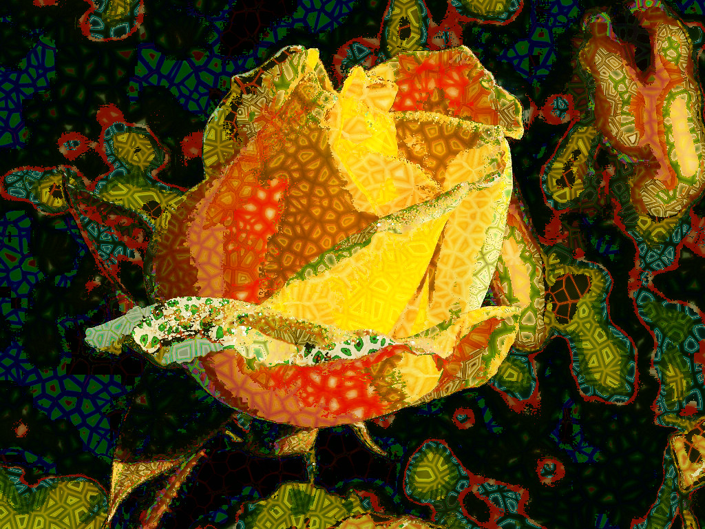 Yellow_Rose_DN_Voronoi.jpg