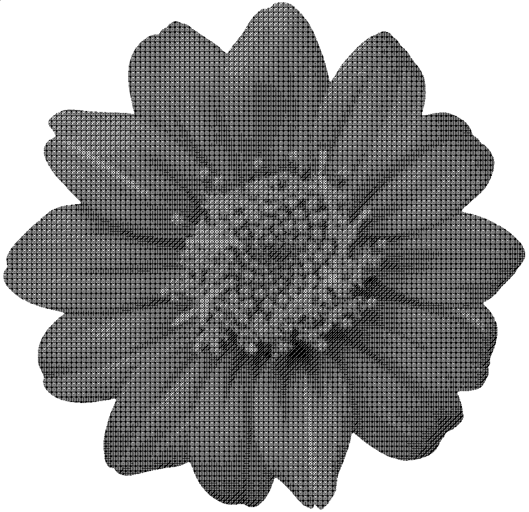 Untitled.png