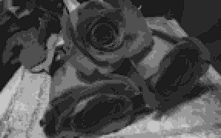 TinTran.GrayPattern6.Diagonals.Roses.jpg