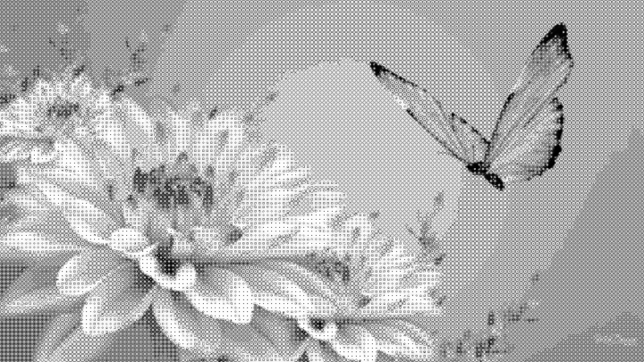 TinTran.GrayPattern6.MultiCircles.FlowerButterfly.jpg