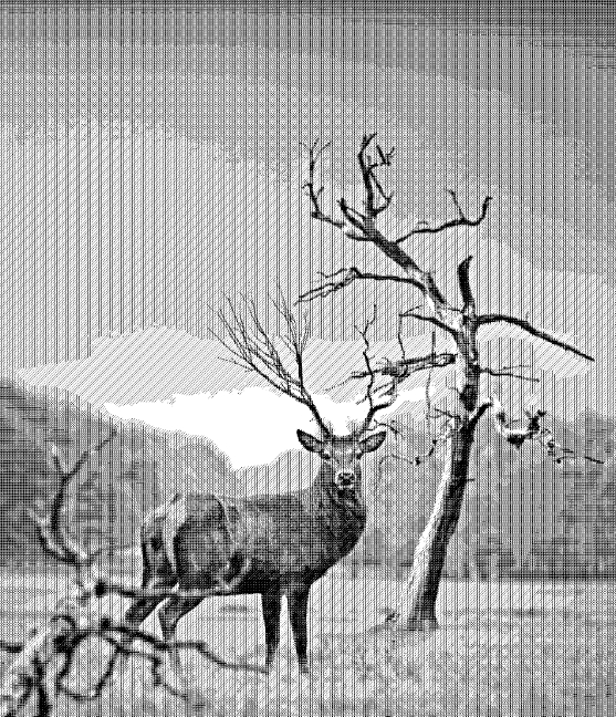 TinTran.GrayPattern6.Standard Gray.Buck.jpg
