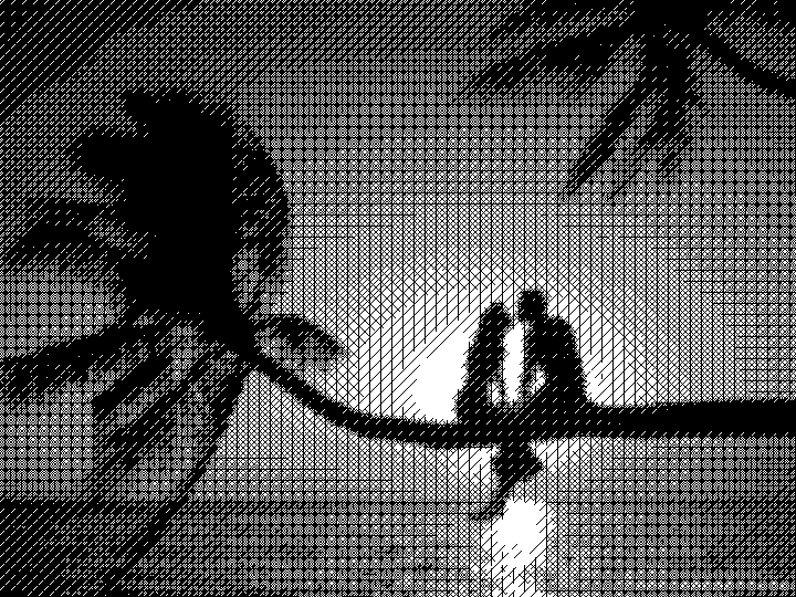 TinTran.GrayPattern6.Standard Gray.PeopleTreeSunset.jpg