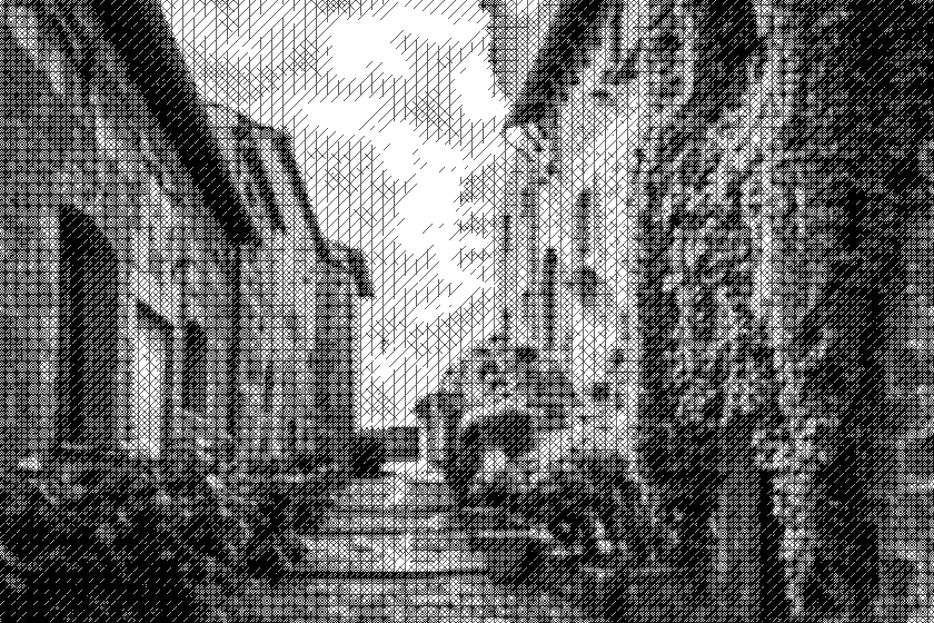 TinTran.Gray.Standard.jpg