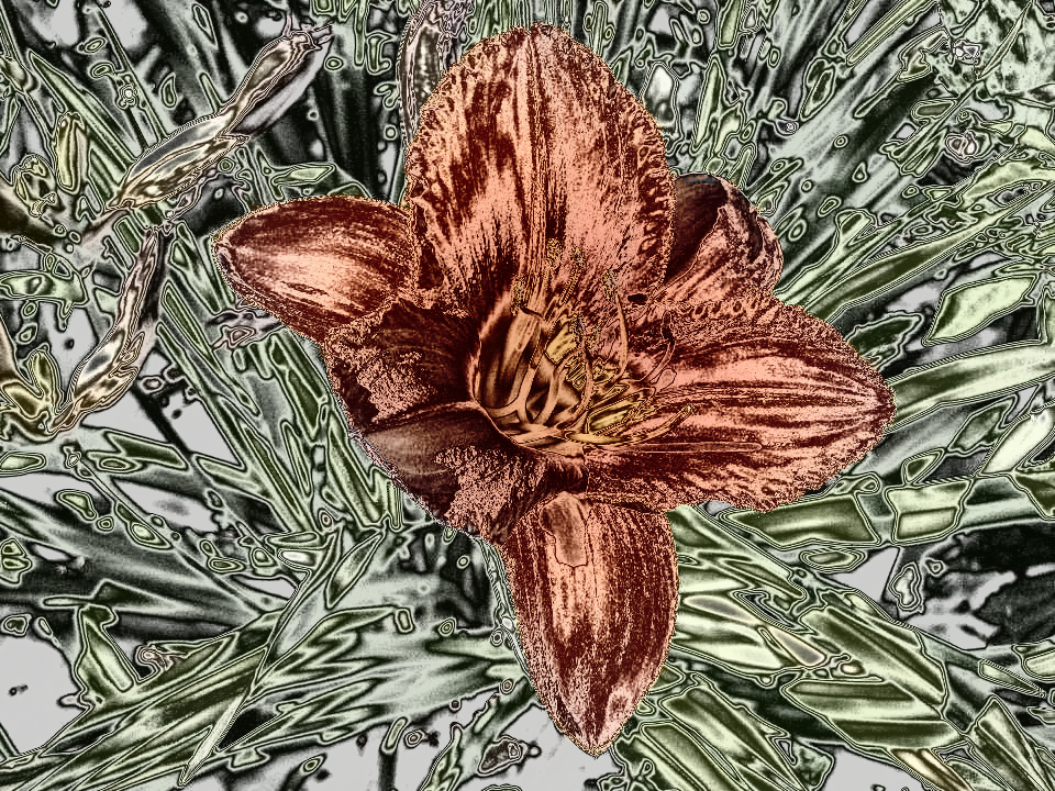 Dinasset.MetallizeSimple.CopperGradient over.2.jpg