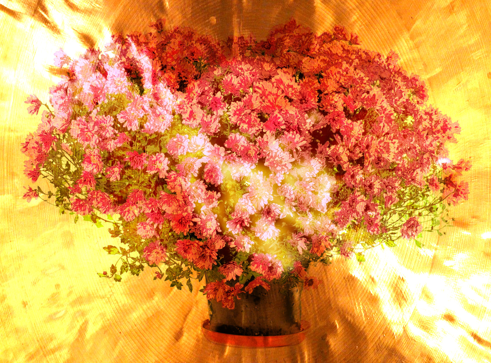 5_Pink_Flowers_DN_Metallized_Texture_HL.jpg
