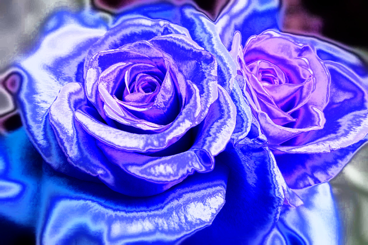 rose-1055577_Dinasset_Metallized.jpg