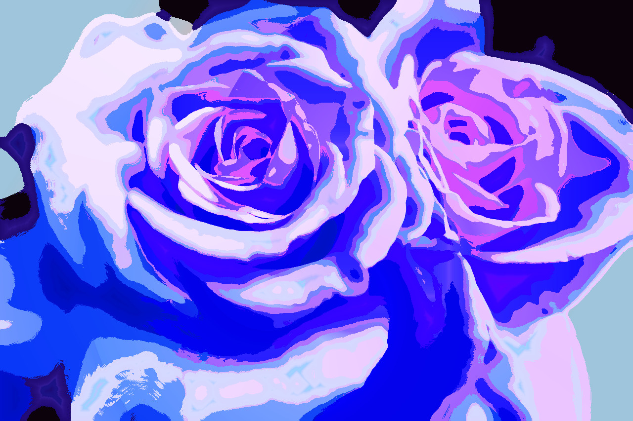 rose-1055577_GradientPaint.jpg