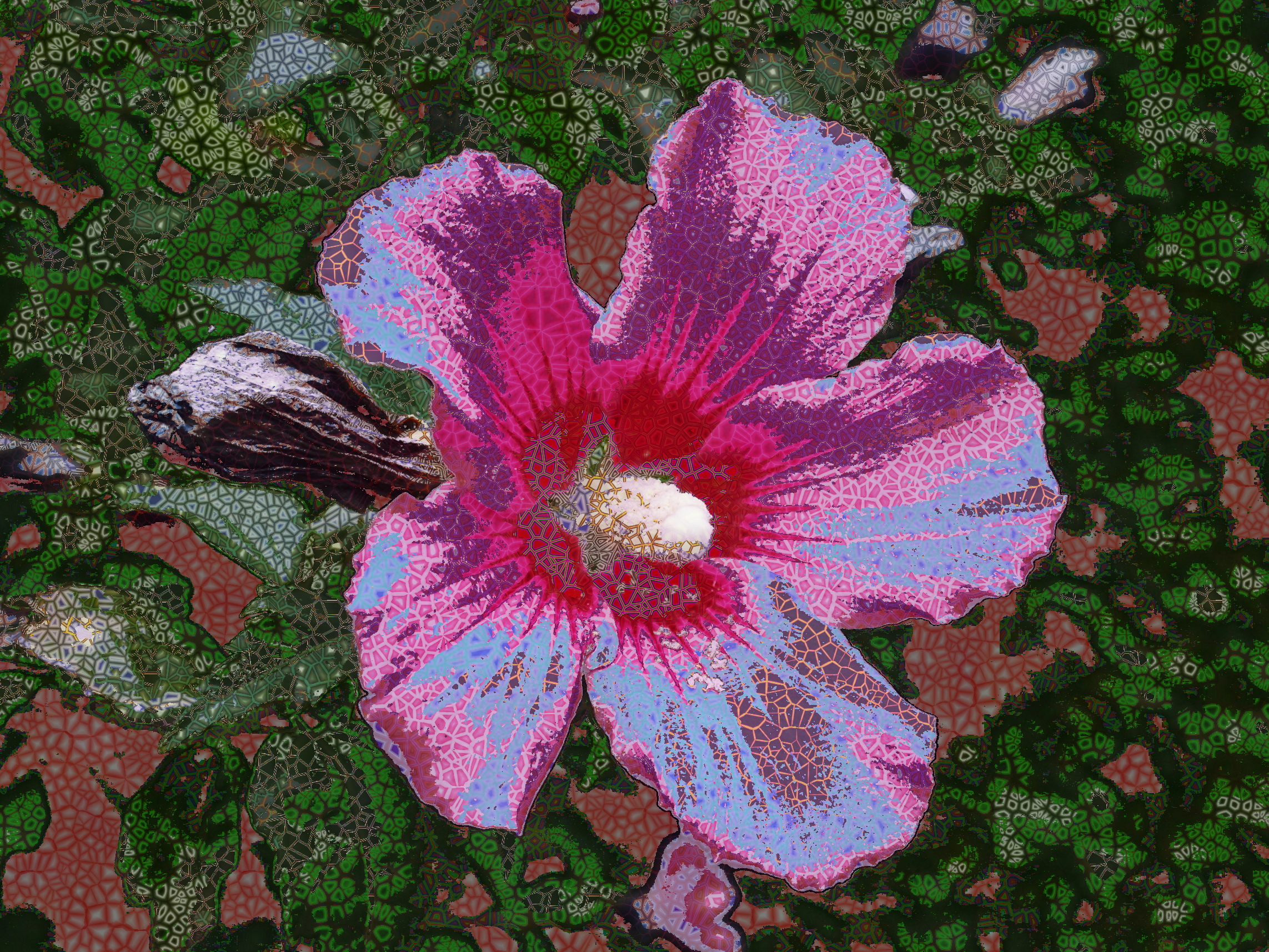 [p8050073-original] (imported), with random Voronoi textures (colour areas =32) (STD).jpg