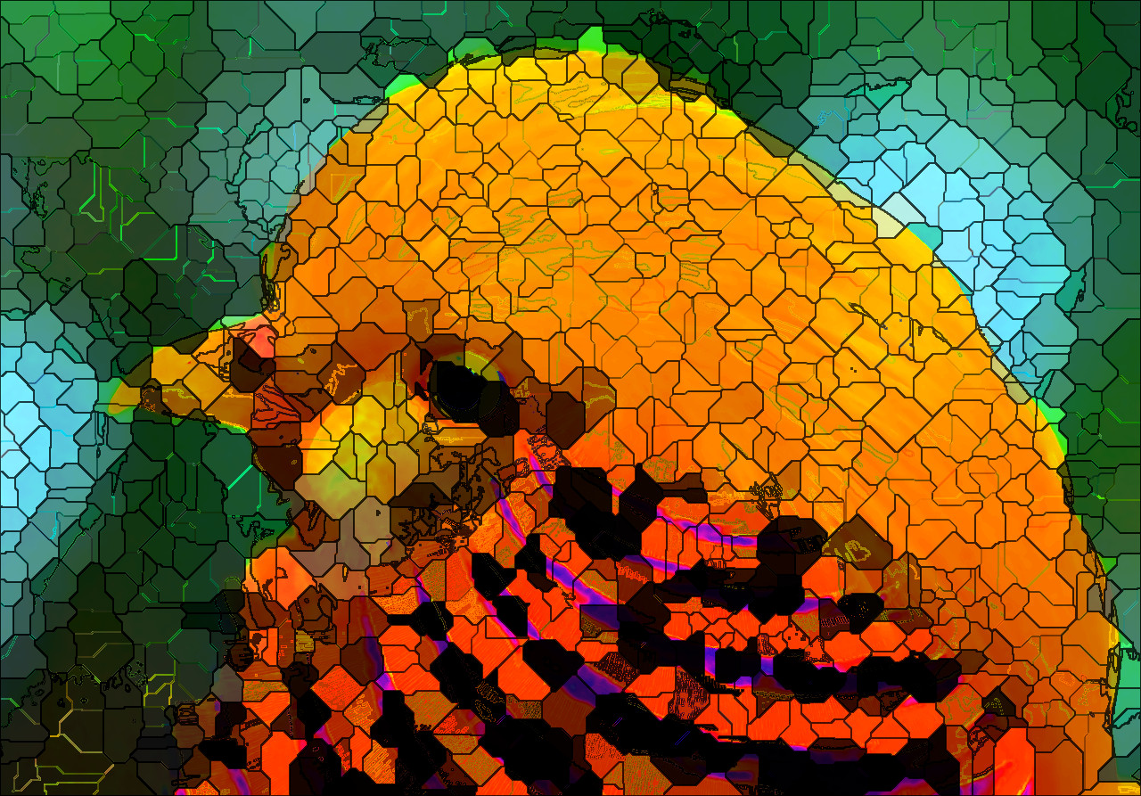 golden-pheasant-317503_DN_M_S_Crystals_B.jpg