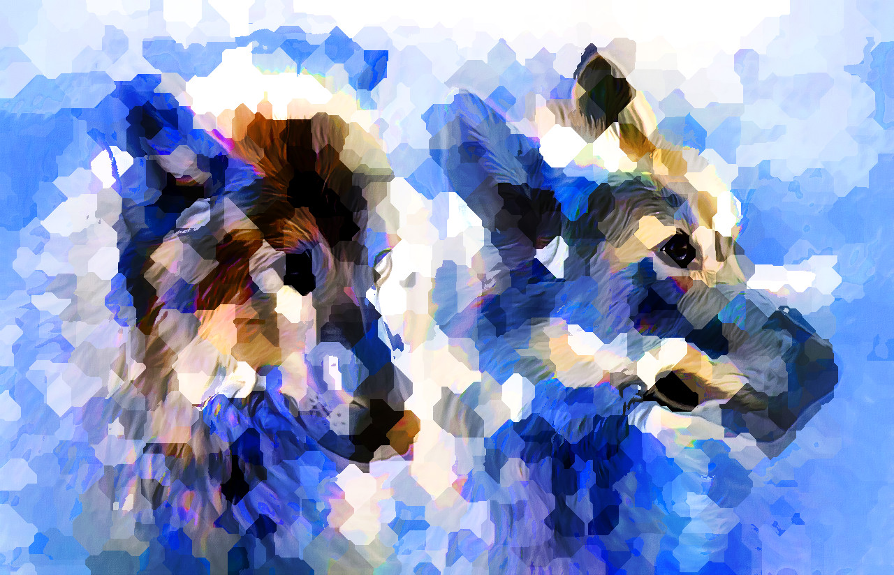 icewolf-1716638_DN_M_S_Crystals_HL_60.jpg