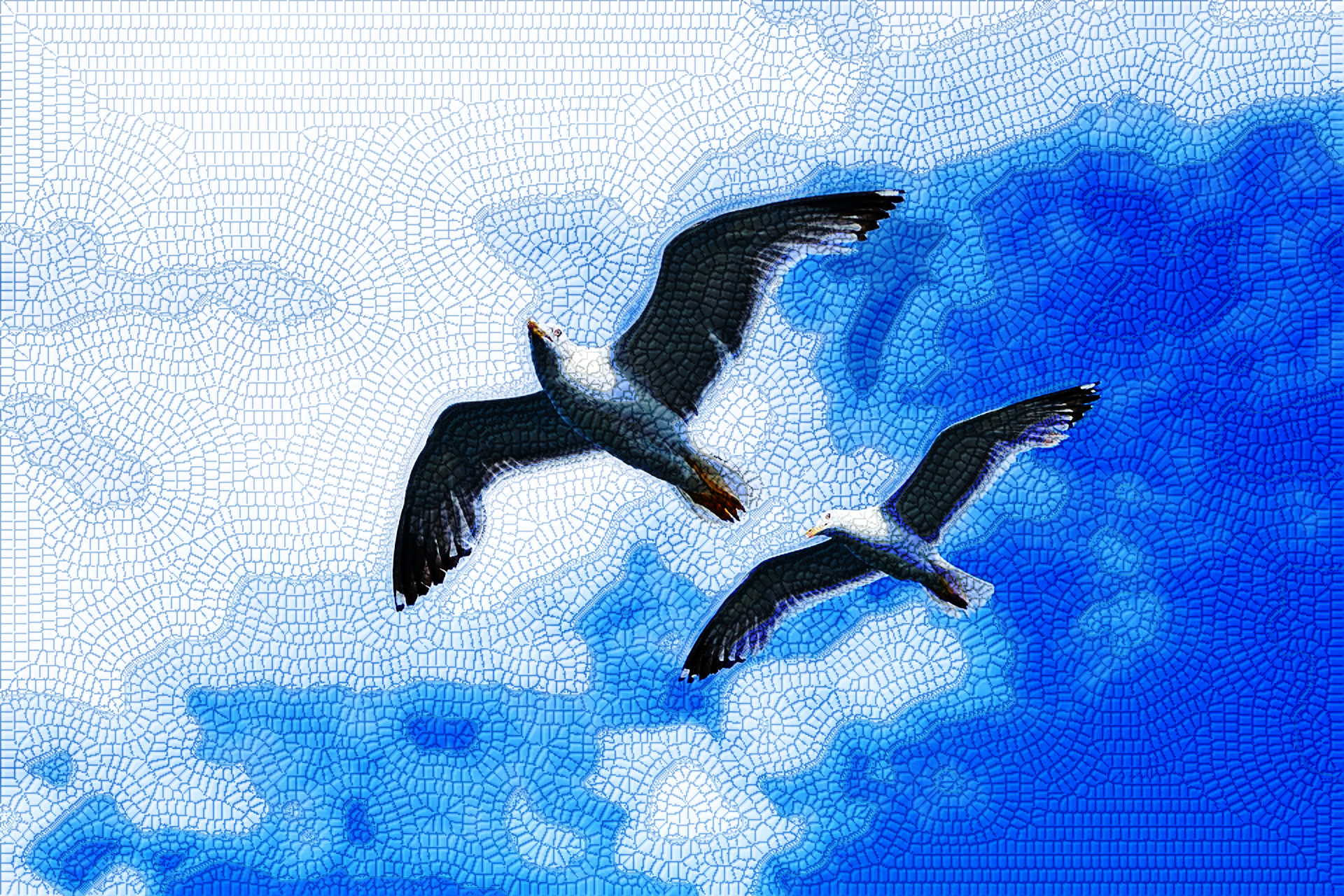 seagull-2394636_DN_MosaicLyleStyle.jpg