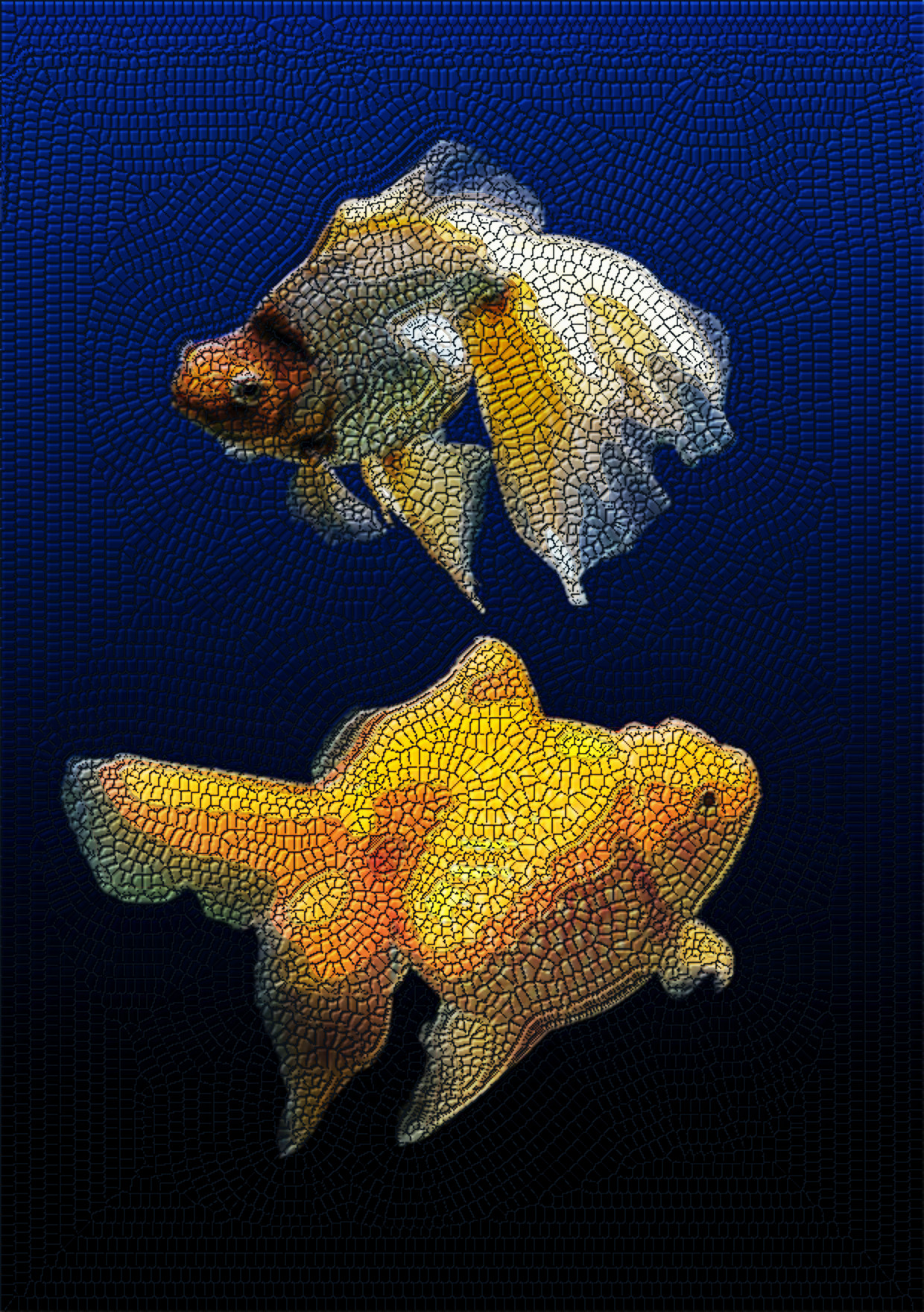 fish-1607380_DN_LyleStyle.jpg